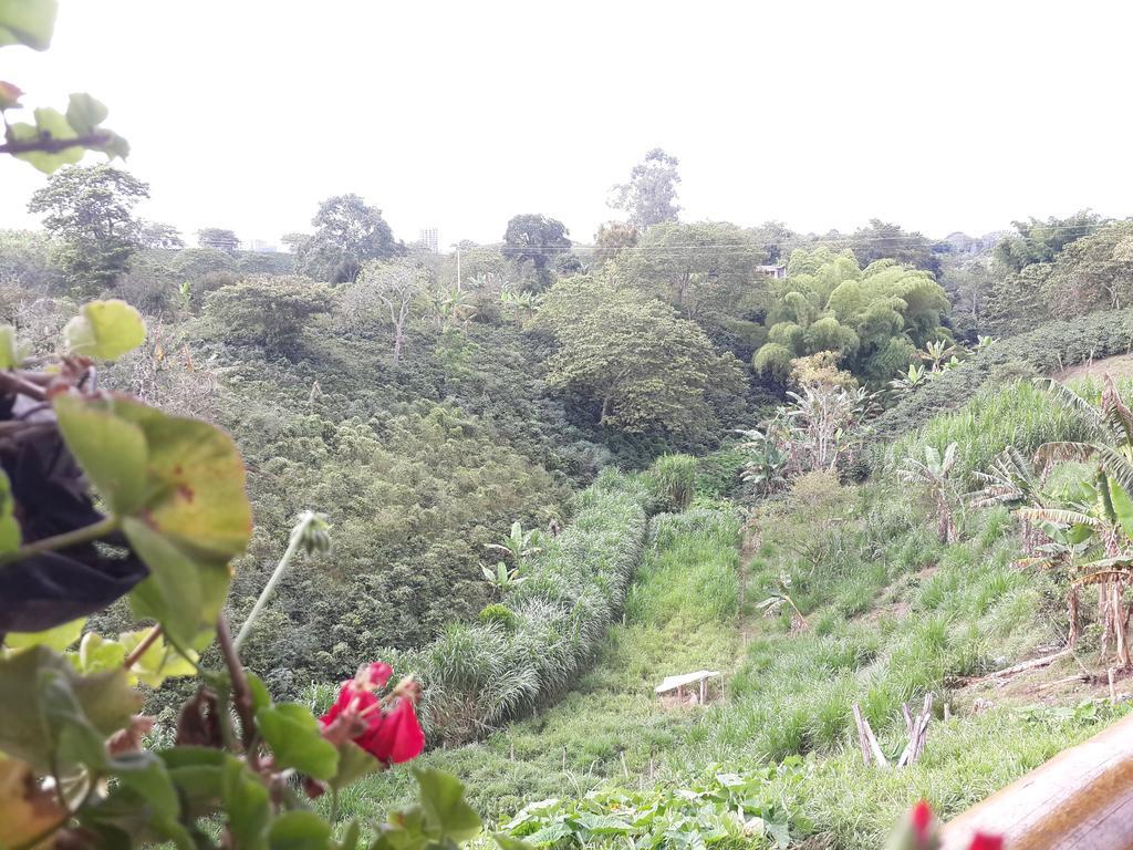 Finca El Diamante Villa Calarcá Buitenkant foto