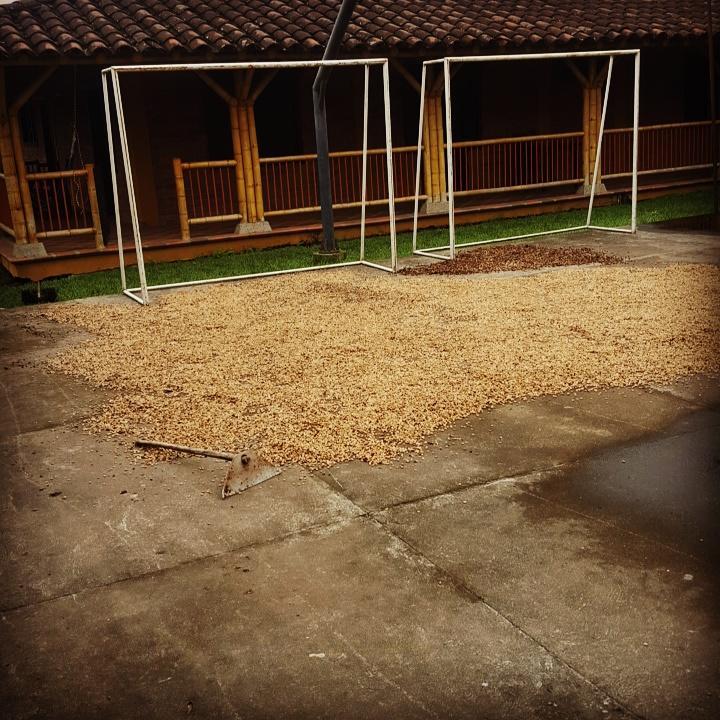 Finca El Diamante Villa Calarcá Buitenkant foto