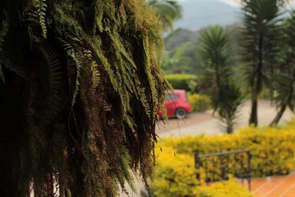 Finca El Diamante Villa Calarcá Buitenkant foto