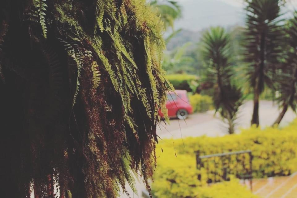 Finca El Diamante Villa Calarcá Buitenkant foto